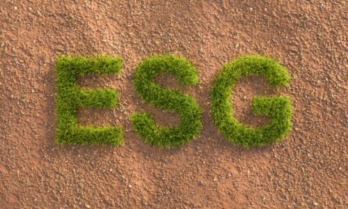 Demystifying Environmental, Social, and Governance (ESG) Criteria: A Comprehensive Overview