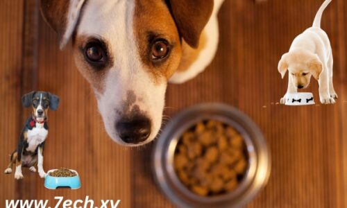Pet Munchies: Delicious and Nutritious Treats for Your Beloved Pet