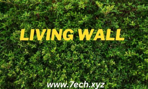 Living Wall: Bringing Nature to Your Space With Living Wall