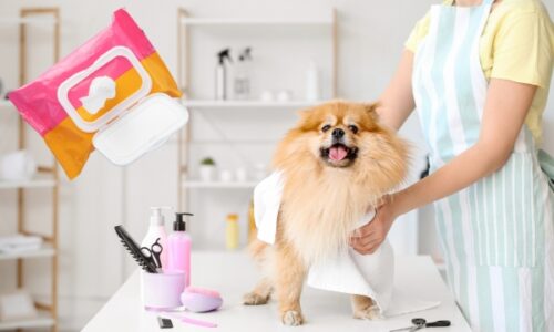 Pet Wipes: Keeping Your Furry Friends Clean and Fresh