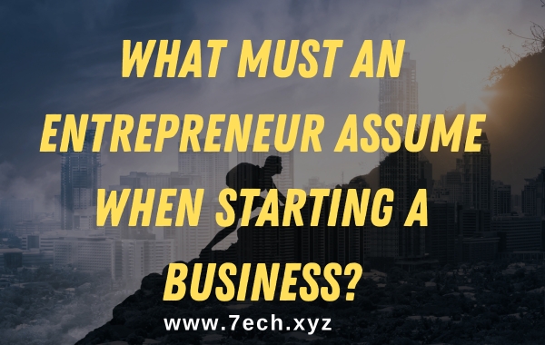 What must an Entrepreneur Assume When Starting a Business?