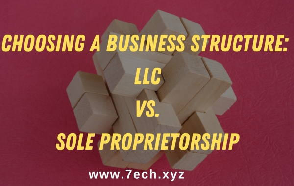 Choosing a Business Structure: LLC vs. Sole Proprietorship