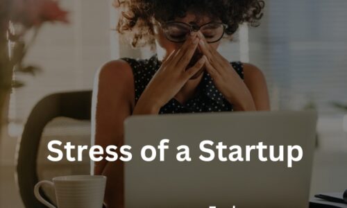 Stress of a Startup: Coping with the Constant Pressure of Entrepreneurship